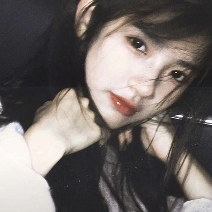 足球灵灵狗：进军欧洲杯