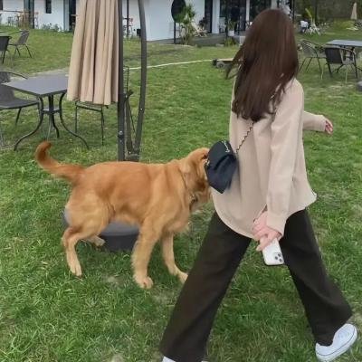 带我去月球